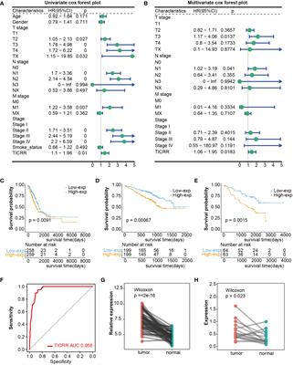 TICRR serves as a prognostic biomarker in lung adenocarcinoma with implications in RNA epigenetic modification, DDR pathway, and RNA metabolism